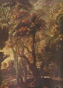 Peter Paul Rubens Jagd der Atalante Sweden oil painting artist